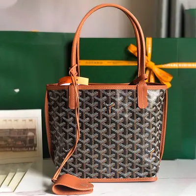 Goyard Anjou Mini Bag in Black and Tan