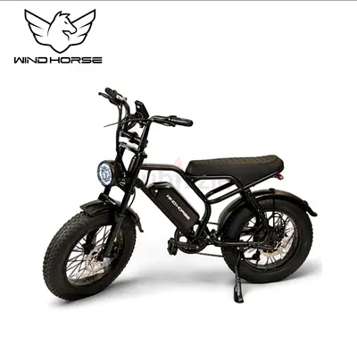 Wind Horse V8 Mini Electric Bike