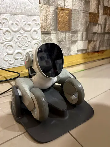Loona robot