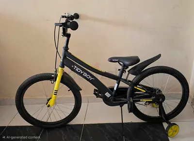 Tidy Boy kids 18" bicycle with training wheels— good condition
