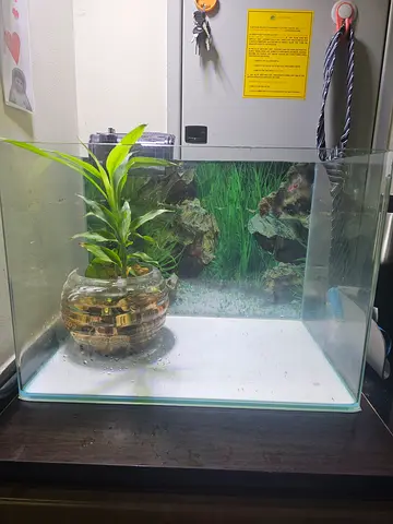 Aquarium small