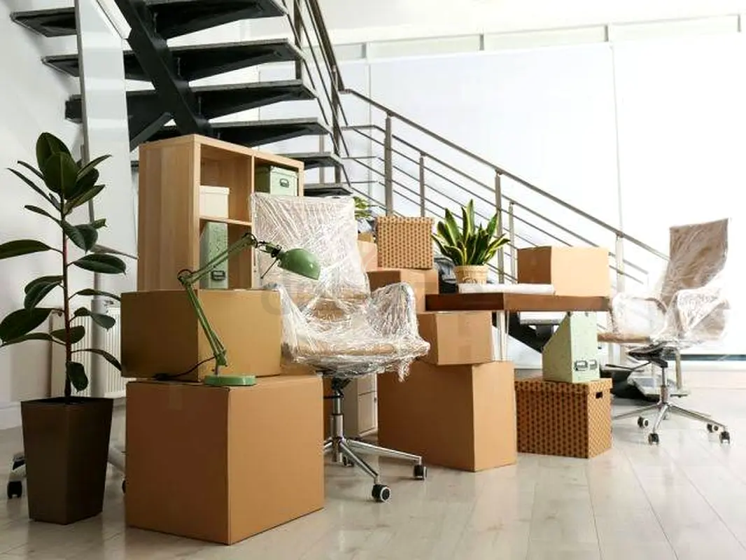 DPV_View_Image_2