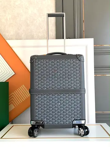 Goyard luggage carry on