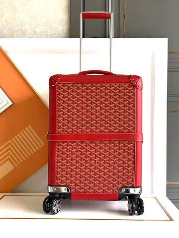 Airport Goyard luggage