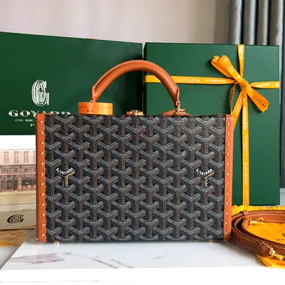 Goyard Grand Hotel trunk bag in Black & Tan
