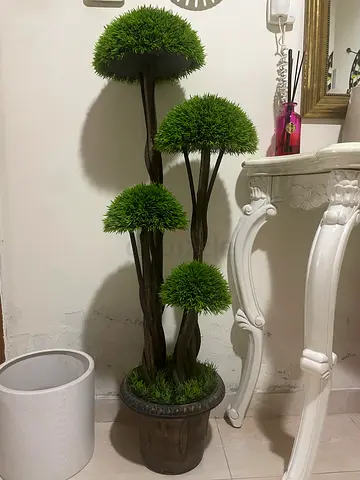 European indoor Artificial Plant