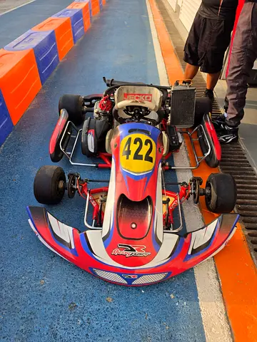 Rotax 125 MAX DD2 for sale