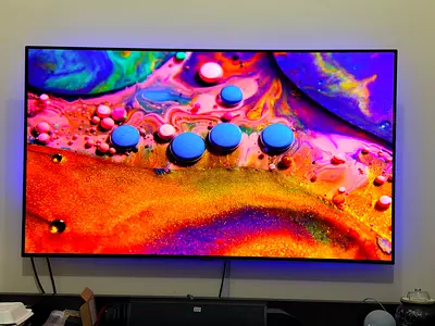 55 inch LG C1 OLED TV with backlight- issue - Screen slightly burn