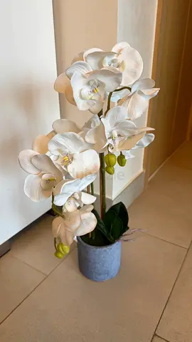 Artificial White Orchid Plant with Pot – 55cm