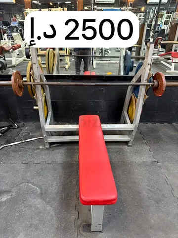 Used Olympic Bench Press with Adjustable Rack and Barbell - Good Condition