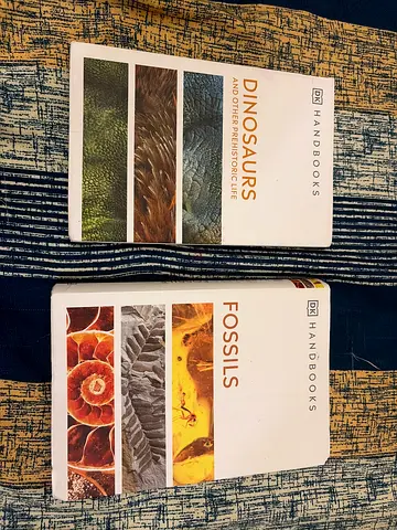 DK Handbooks: Dinosaurs & Fossils (Pair) - Good Condition