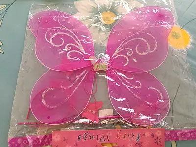 Kids girls wings new
