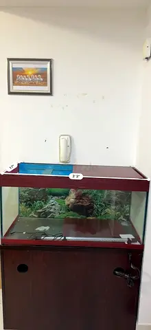 Aquarium and Accessories