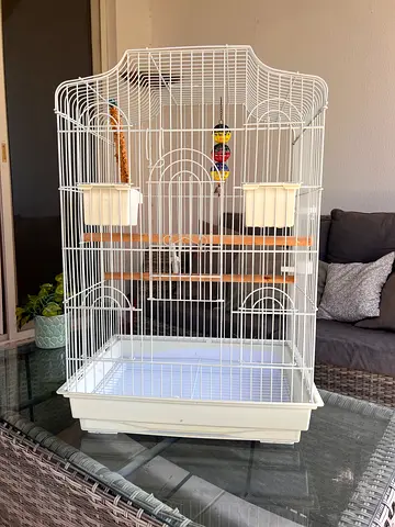 Bird Cage