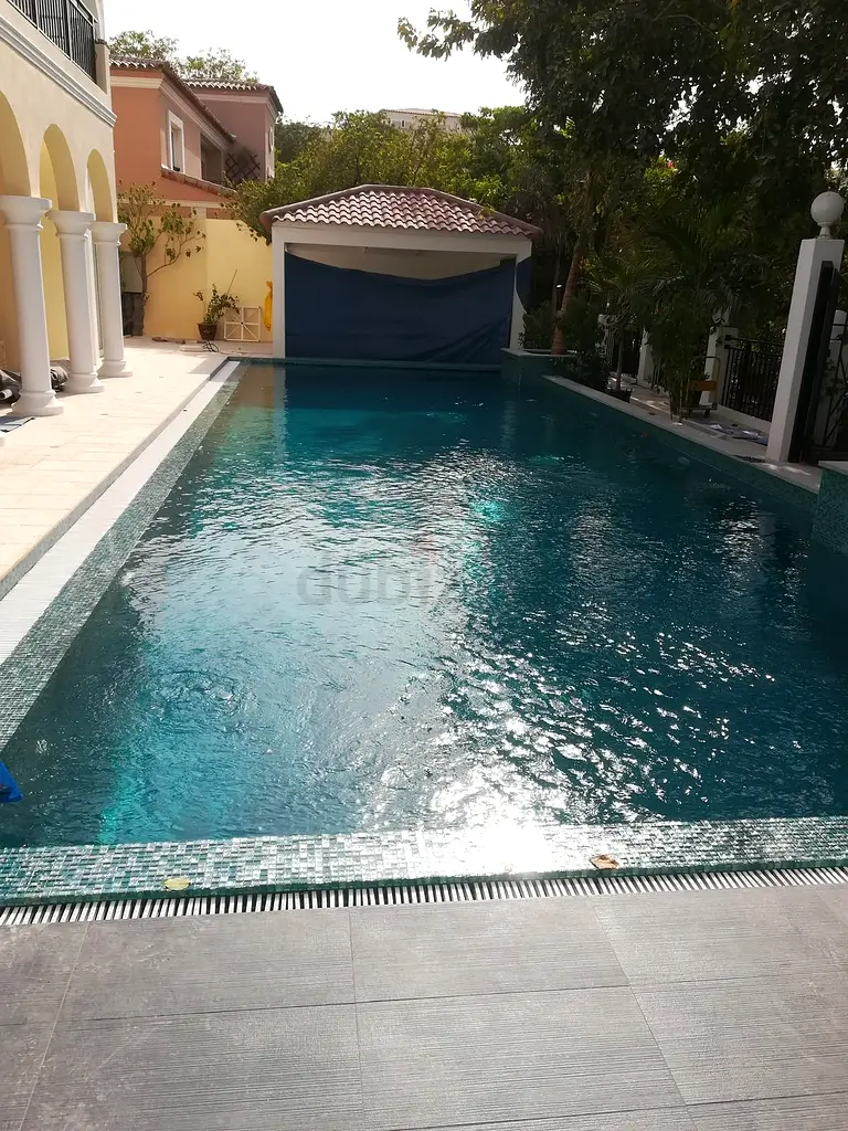 DPV_View_Image_1