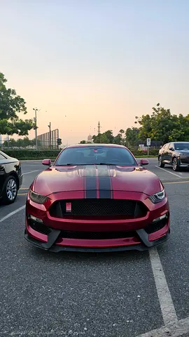 2015 Ford Mustang V6 | American Specs | Clean Condition