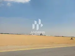 Industrial Land for Sale in Al Qasimia 1, Sharjah | Freehold for All Nationalities
