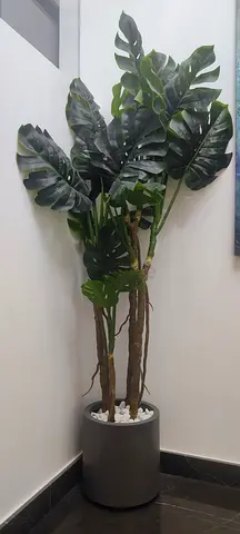 Large Artificial Monstera Plant with Pot & White Stone – Excellent Condition