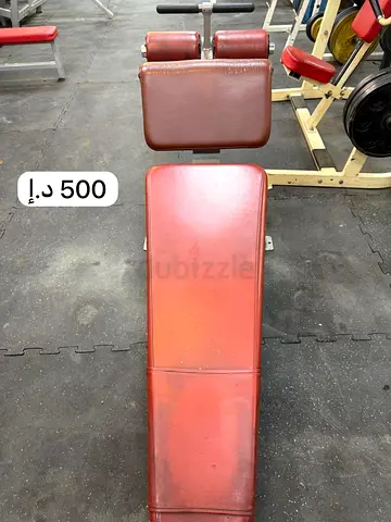 Adjustable Decline/Abdominal Bench - Sturdy Gym Bench (Used)