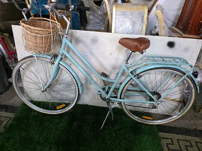 Reid Ladies bike cycle