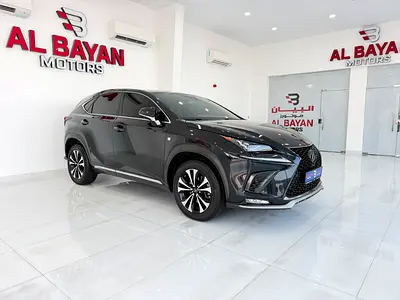 2020 Lexus NX-Series