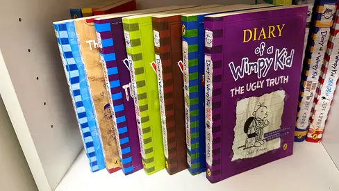 20 Diary of the wimpy kid books