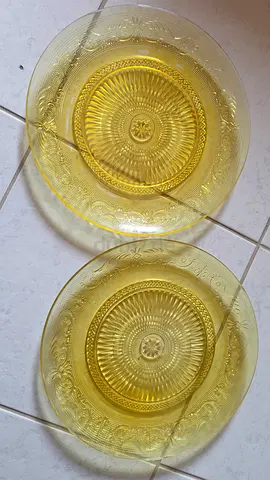 Plate -6 pieces