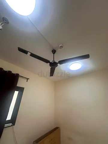 Ceiling Fan