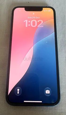Used Apple iPhone with case - Good working condition
