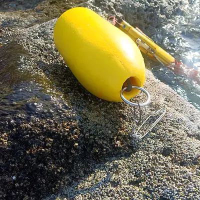 dive floater