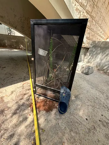 Chameleon reptile cage with sticks and bowls