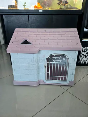 Dog House