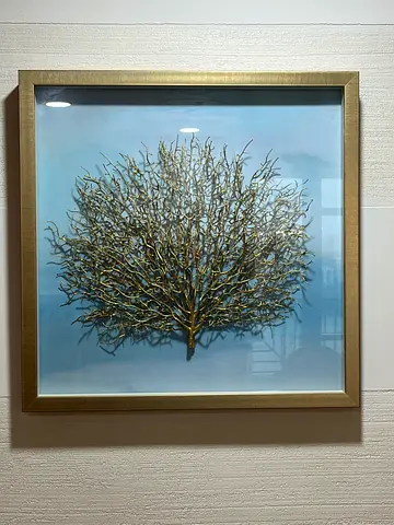 Coral branch display frame