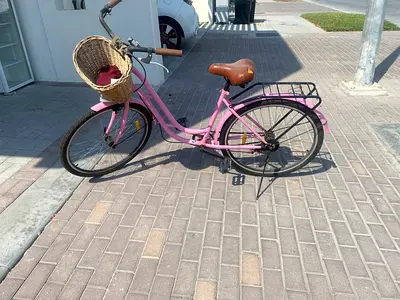 Pink city cruiser bike with front basket — good condition