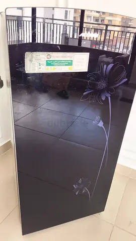 Single-door Refrigerator with Floral Glass Door — Good Working Condition