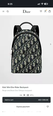 Authentic Christian Dior Mini Rider Oblique Canvas Backpack Bag