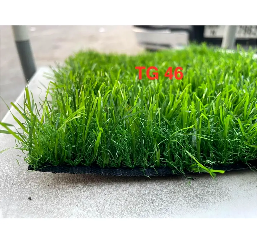 DPV_View_Image_7