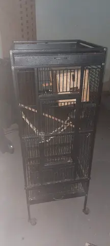 Large two size cage for sale in good condition but need to be little clear only