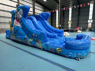 Commercial Inflatable Water Slide with Pool – Shark Theme