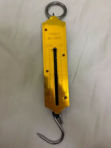 Handheld Hanging Spring Scale
