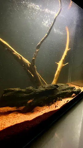 40cm Hardscape Aquarium