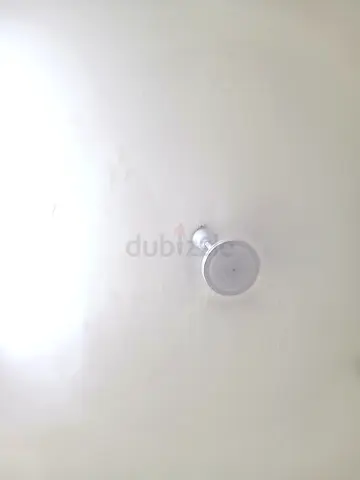 Celing Fan