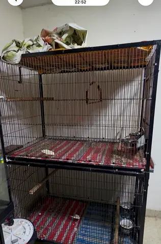 Very big bird cage