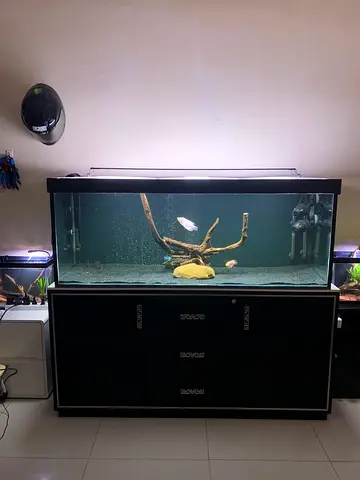 Monster Aquarium with Cabinet for Sale!!!