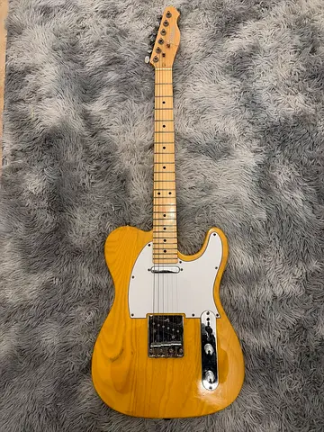 Electric Guitar