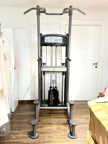 Impulse weight dip/chin assisted