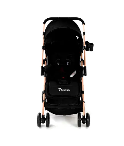 Stroller for kids upto 1 year old