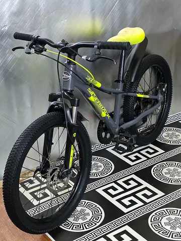 Silverback Skid 20 inch kids bike