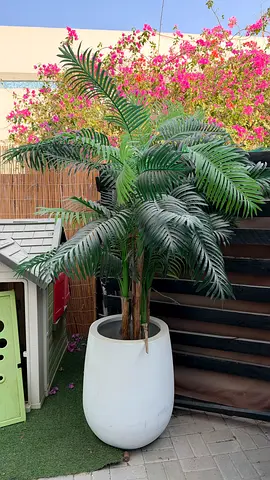 Artificial plant