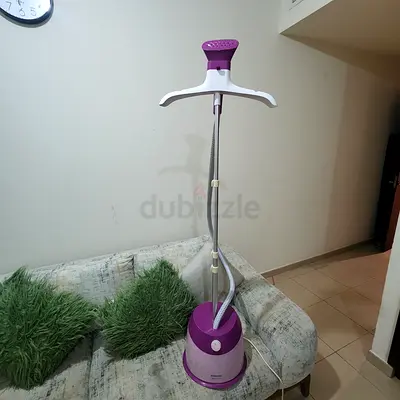 Steam iron